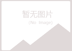 鹤岗兴山宛白服务有限公司